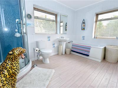 Picture 21